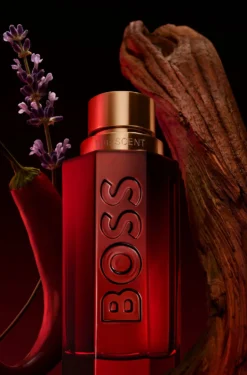 BOSS The Scent Elixir parfum intense 50ml