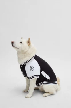 Dog bomber jacket with embroidered logo