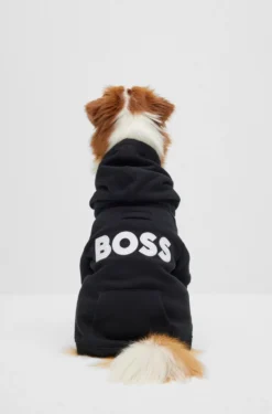 Dog hoodie in a cotton blend with contrast logo
