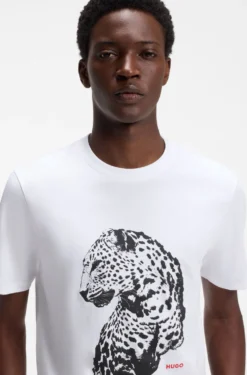 Graphic-print T-shirt in cotton jersey