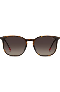 Havana sunglasses with gold-tone temples