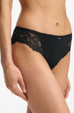 Lace briefs with mesh pleating details