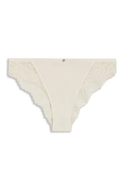 Lace briefs with mesh pleating details
