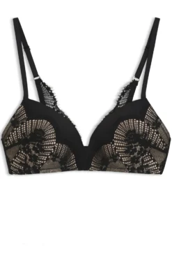 Padded bra in lace and mesh