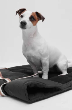 Portable dog mat with sherpa lining