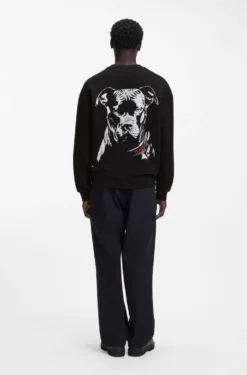 Relaxed-fit sweatshirt in cotton terry with dog artwork