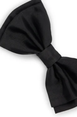 Silk bow tie and cummerbund gift set