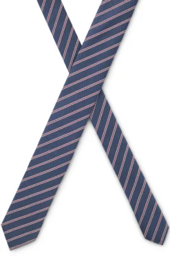 Silk tie with diagonal stripe